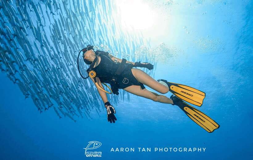 Fisheye Divers: Discover Scuba Diving - Shallow-water practice before the boat session