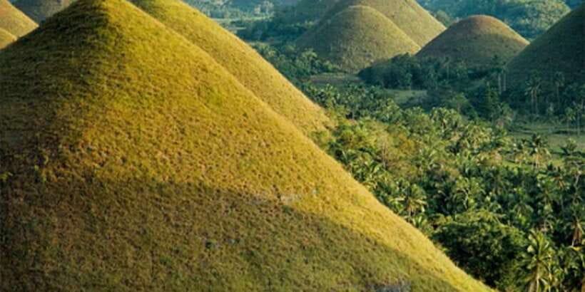 From Bohol & Panglao Island: Full-Day Bohol Tour - The Blood Compact Site in Tagbilaran