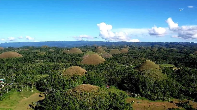 From Cebu: Bohol Countryside & Buffet Lunch Exclusive Tour - A floating lunch on the Loboc River