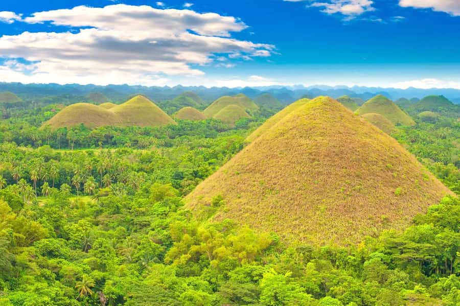 From Cebu: Bohol Countryside Private Tour with Buffet Lunch - Key points to know before booking