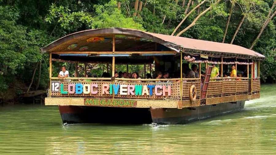 From Cebu: Bohol Countryside Private Tour with Buffet Lunch - Buffet lunch on the Loboc River