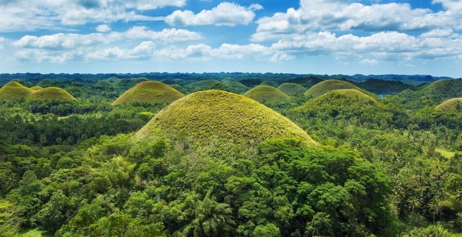 From Cebu City: Bohol Island Highlights in One Day - Is $154 a Fair Price?