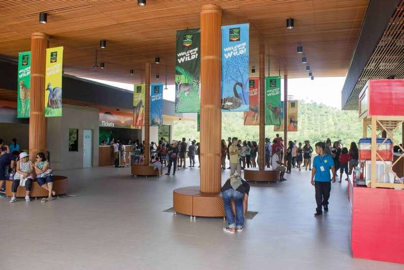 From Cebu City: Cebu Safari and Adventure Park Day Tour - Tigers, white lions, and the day’s animal schedule