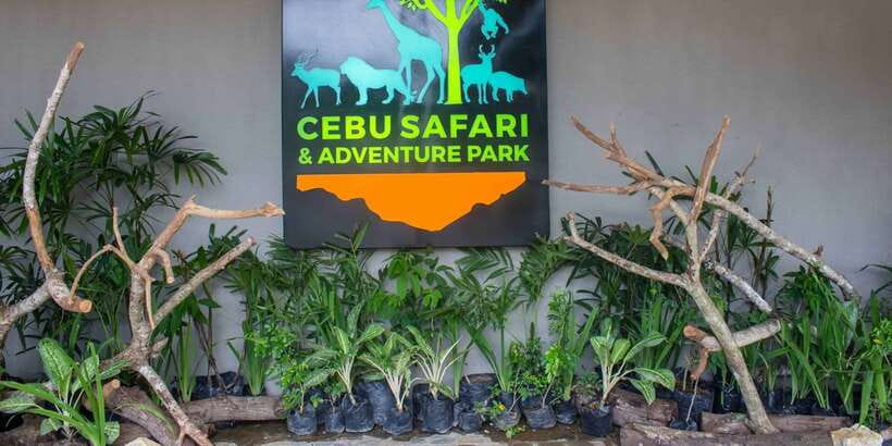 From Cebu City: Cebu Safari and Adventure Park Day Tour - Who will enjoy this day most?