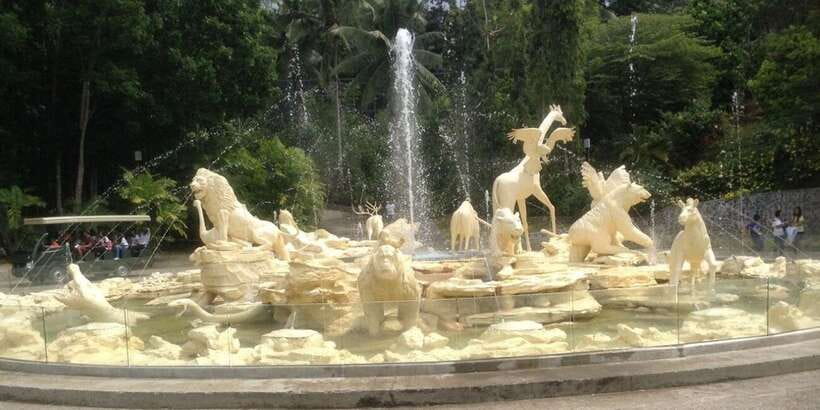 From Cebu City: Cebu Safari and Adventure Park Day Tour - Final verdict: should you book it?