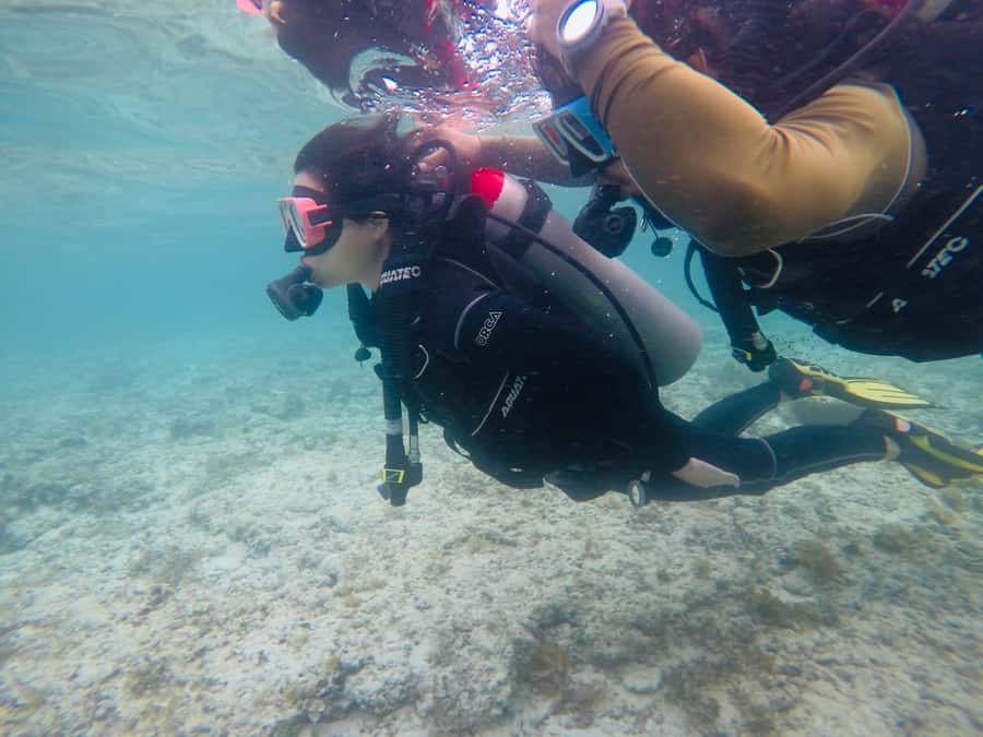 From Cebu City: Scuba Diving with Whale Sharks Trip in Oslob - What the $172 price really covers
