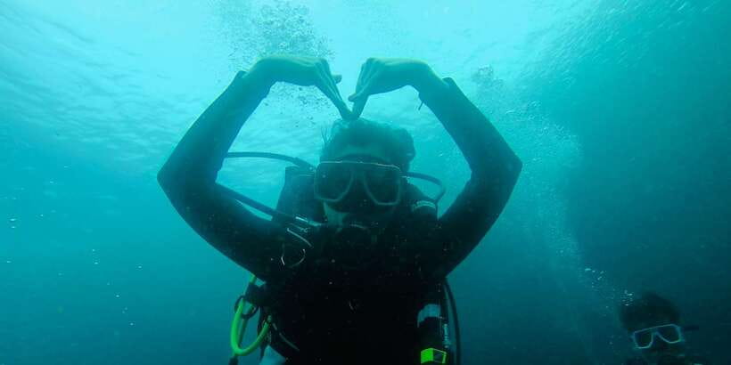 From Cebu City: Scuba Diving with Whale Sharks Trip in Oslob - Who will enjoy this Oslob trip most