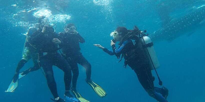 From Cebu City: Scuba Diving with Whale Sharks Trip in Oslob - Should you book the Oslob whale shark trip?