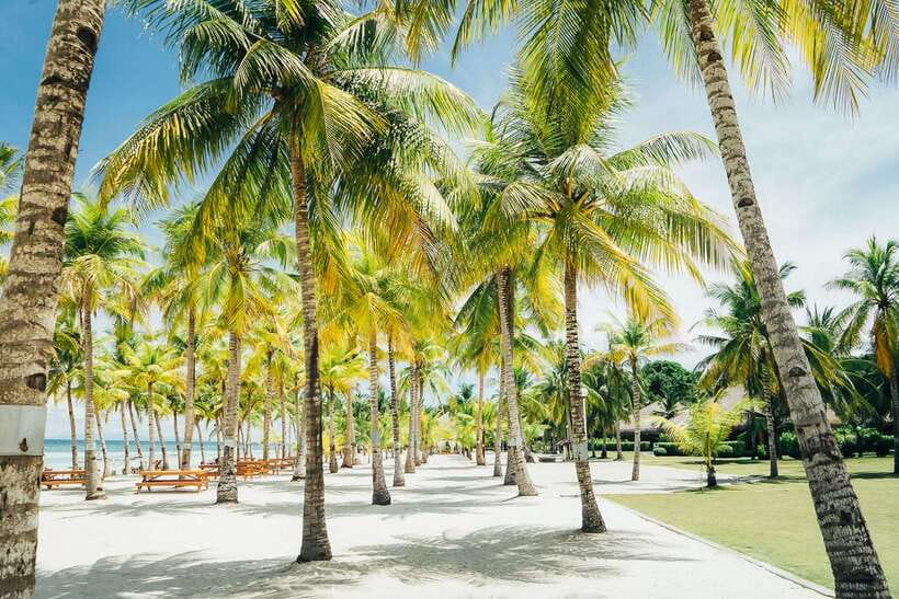 From Cebu: Day Trip to Bohol Highlights - Key points at a glance