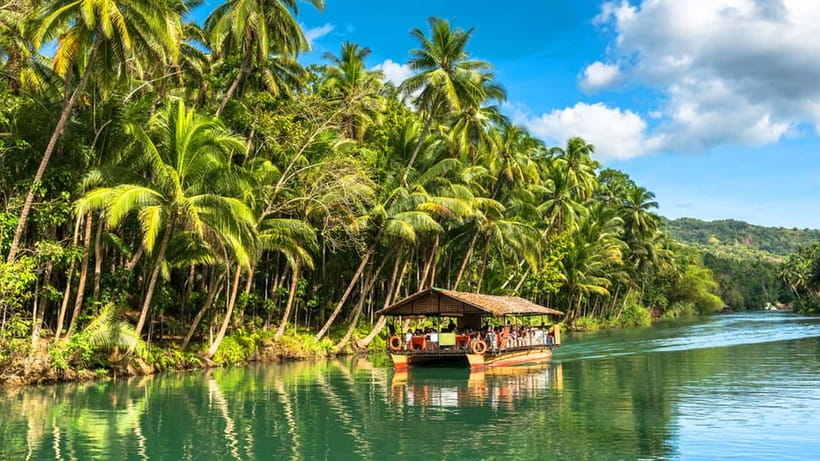 From Cebu: Full-Day Bohol Excursion - Key Points to Know Before You Book