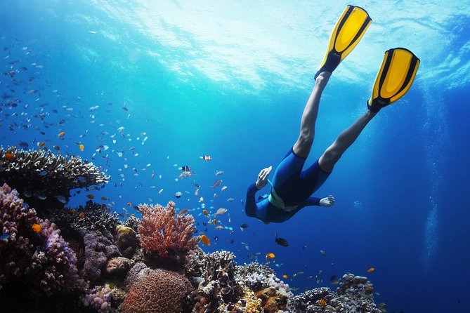 From Cebu: Island Hopping to 3 islands with BBQ lunch - An early pickup from Cebu or Mactan