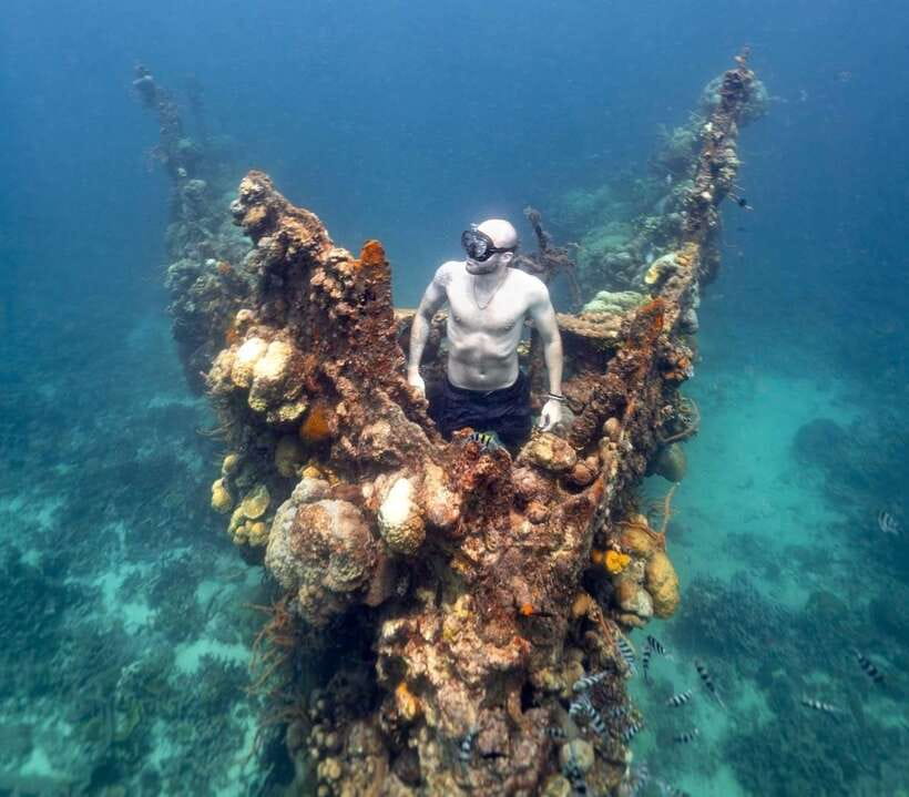 From Coron: Twin Lagoon and Skeleton Wreck Cruise with Lunch - Buffet lunch, fruit, and what is actually included