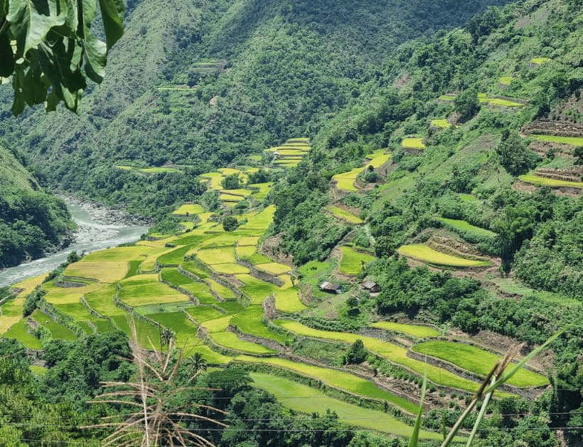From Manila: 2-Day Buscalan Tour with Apo Whang-od - Meeting Apo Whang-Od