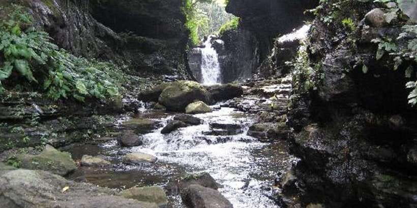 From Manila: Day Tour to Enchanting Hidden Valley - Swimming in the warm mineral pools