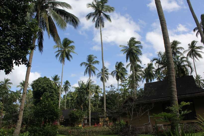 From Manila: Day Tour to Enchanting Hidden Valley - A provincial market and the changing view outside Manila
