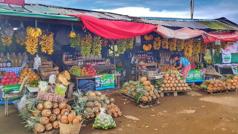 From Manila: Tagaytay Countryside Wonders: A Half-Day Tour - Booking details and practical value