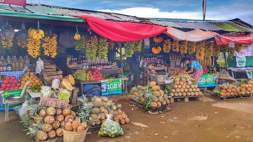 From Manila: Tagaytay Countryside Wonders: A Half-Day Tour - Hotel pickup and the ride out of Manila