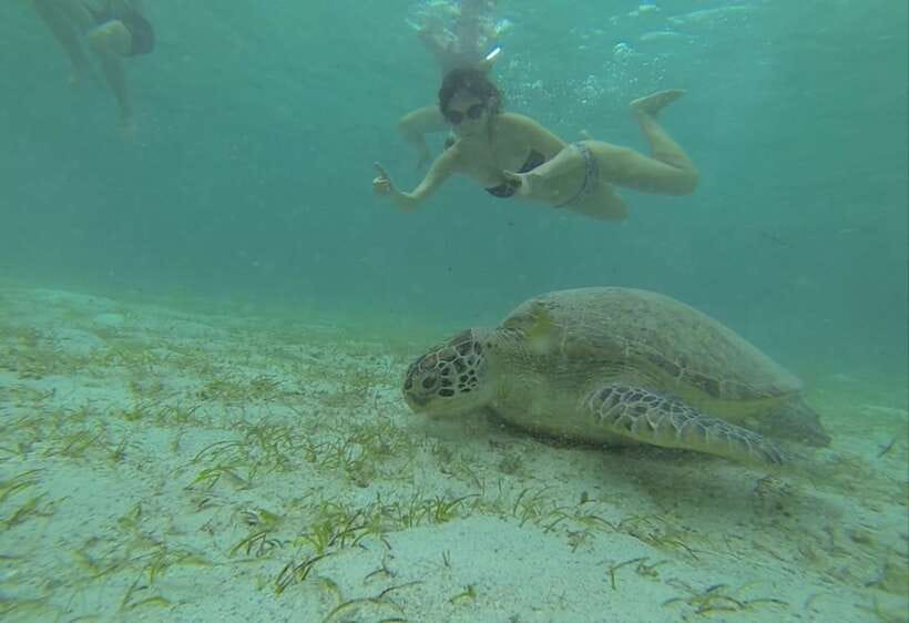 From Puerto Princesa: Port Barton & Island Hopping Day Trip - The 5 AM pickup sets the tone