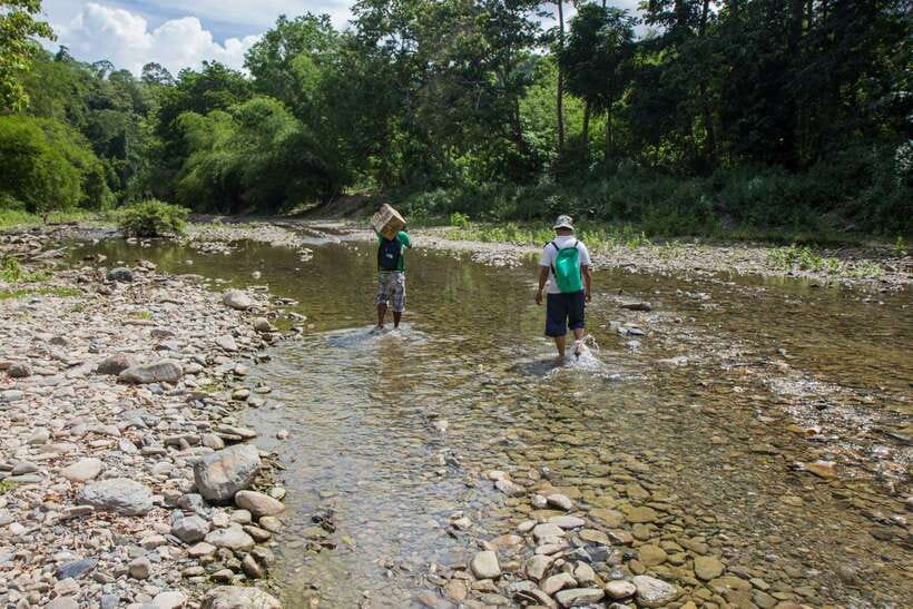From Puerto Princesa: Trek to Batak Tribe Village - The 75 to 120 minute walk