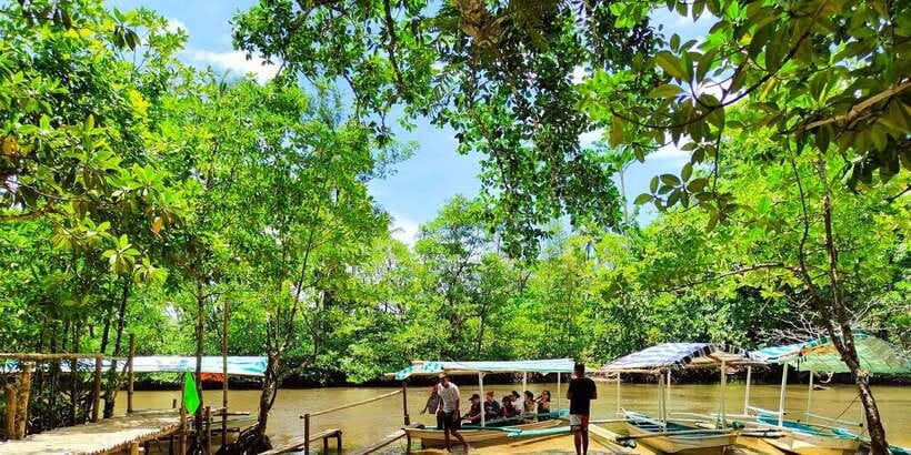 From Puerto Princesa: Underground River Guided Day Trip - Who should book this tour?