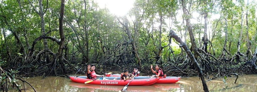 From Tagbilaran City/Panglao Island: Bohol Mangrove Kayaking - Why the Abatan River feels different from a standard Bohol outing