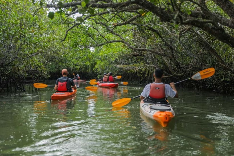 From Tagbilaran City/Panglao Island: Bohol Mangrove Kayaking - The safety lesson matters, even for beginners
