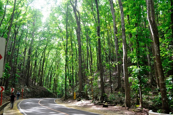 Full-Day Bohol Excursion - depart Cebu (Best Seller) - The Loboc River boat ride