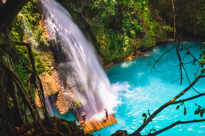 Full-Day Moalboal Islands and Kawasan Falls Small-Group Tour from Cebu - What the $187 price actually covers