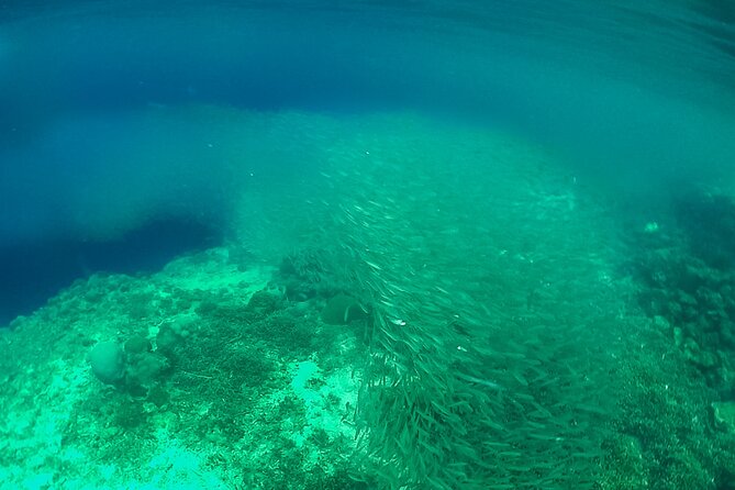 Full-Day Moalboal Islands and Kawasan Falls Small-Group Tour from Cebu - Guides, safety, and the human side of the trip