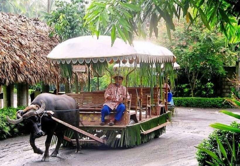 Full Day Tour Villa Escudero Plantation - Leaving Manila for a Coconut Plantation