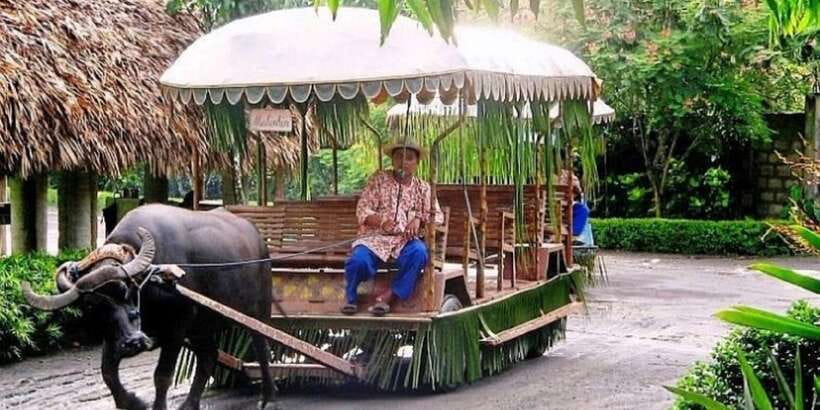 Full Day Tour Villa Escudero Plantation - FAQ