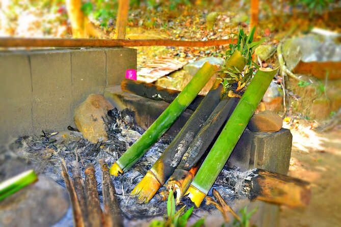 indigenous Forest experience Manila 2023 - Three hours on the Pamulaklakin Forest Trail