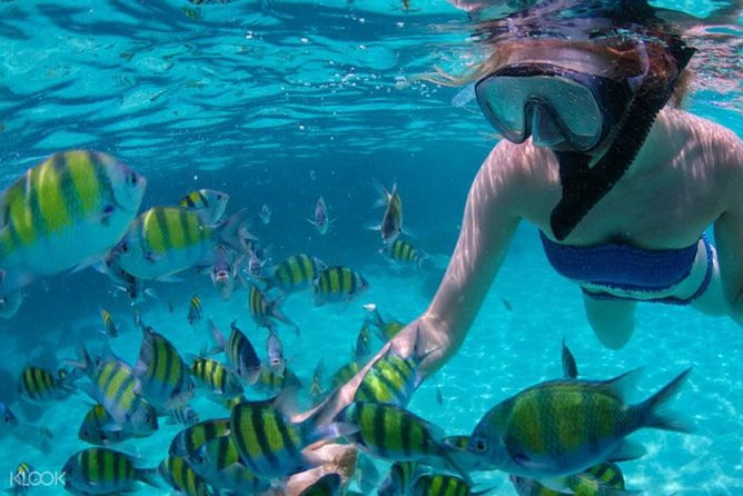 Mactan Cebu Island Hopping with Lunch - Gilutungan, Caohagan, Nalusuan - Caohagan Island: your best chance for beach time