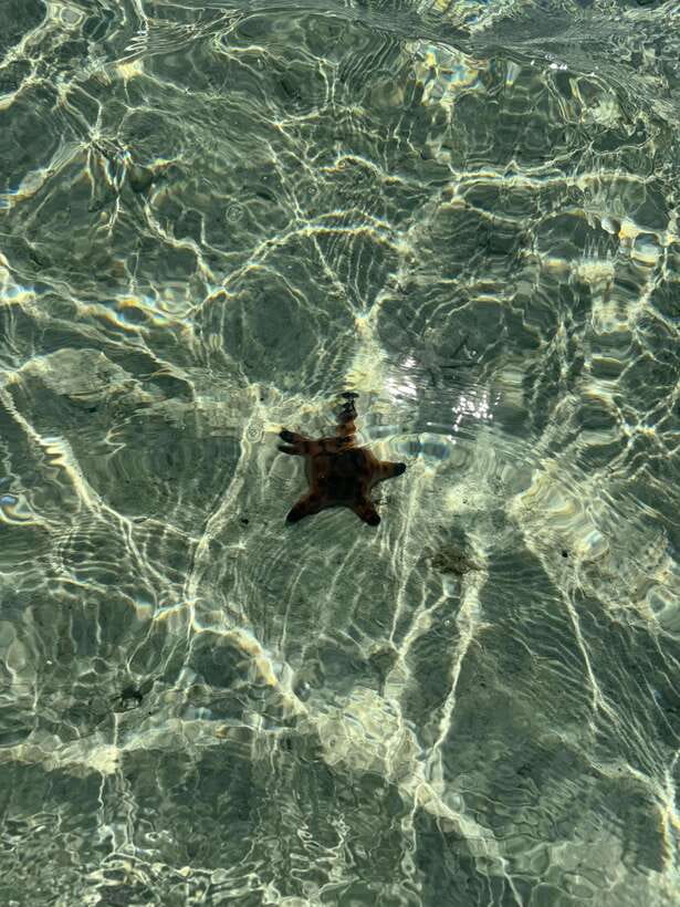 Mactan Island Hopping Gilutungan, Caohagan, Nalusuan + Lunch - Guide quality can shape the entire day