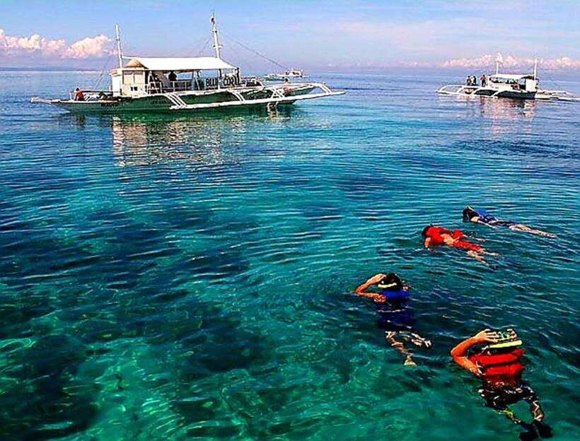Mactan Island Hopping Gilutungan, Caohagan, Nalusuan + Lunch - Gilutungan Marine Sanctuary: the main snorkeling stop