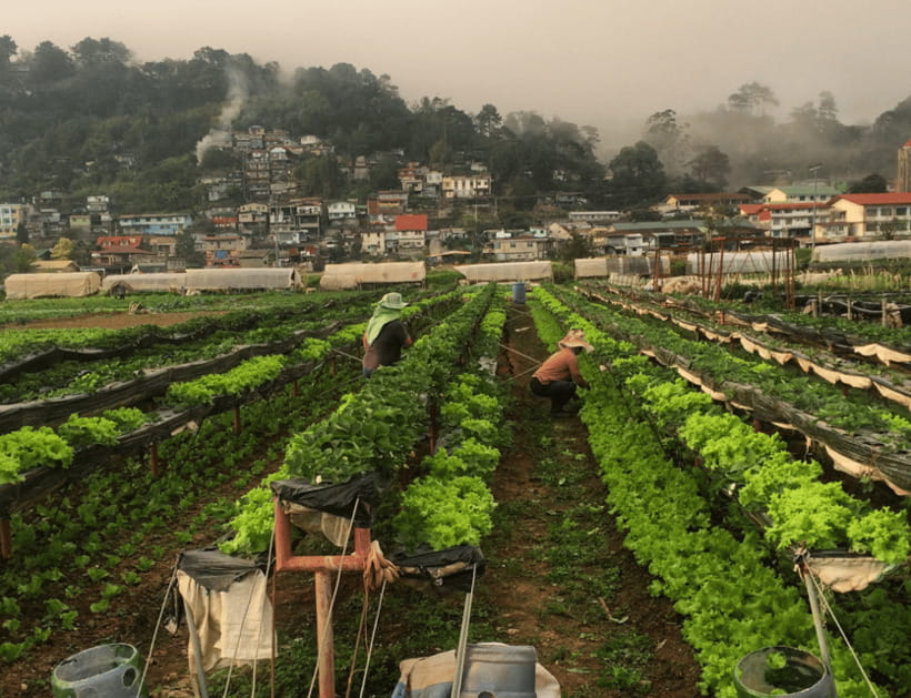 Manila: 3-Day Sagada, Baguio, & Banaue Rice Terraces Tour - Baguio: a cooler city break