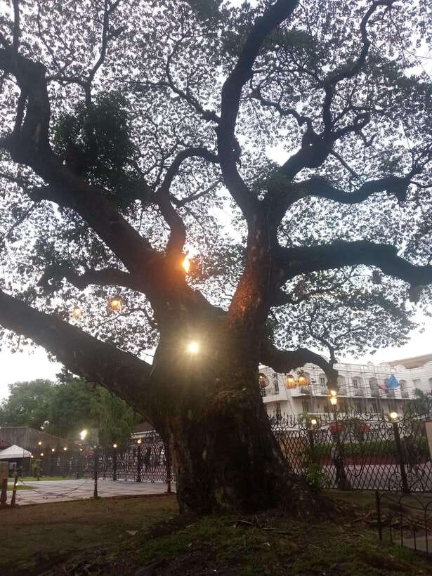 Manila: Intramuros Tour ( Dark) - Key points to know before you go