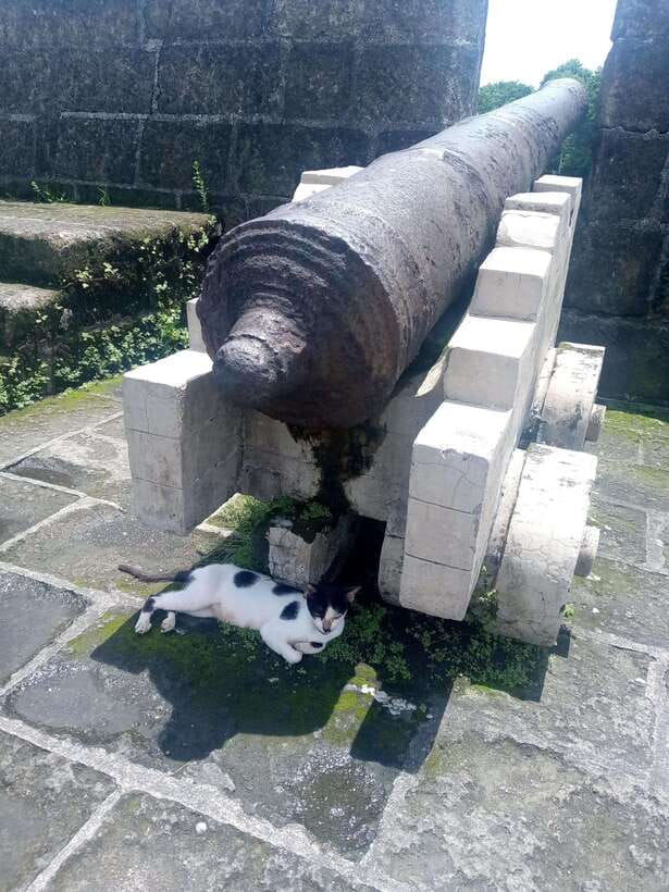 Manila: Intramuros Tour ( Dark) - Manila Cathedral and the cost of political power
