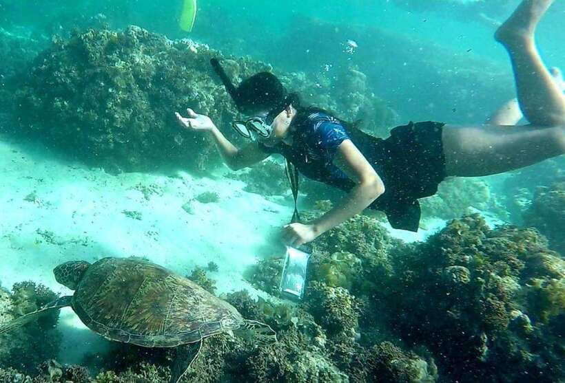 Moalboal: Pescador Island Hopping Adventure and Sardine Run - Key points before you book