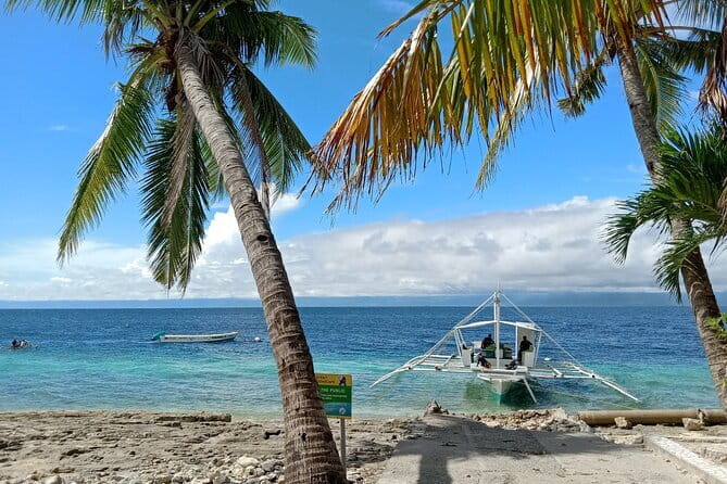 Moalboal Sardine Run, Sea Turtle and Mantayupan Falls - What makes the small group useful