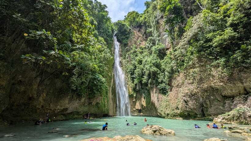 Moalboal Sardine Run, Sea Turtle & Mantayupan Falls - Who should book this day trip?