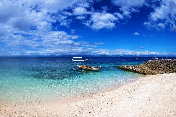 Moalboal Sardines Run Private Tour w/ Transfers Option - The best time to plan this outing