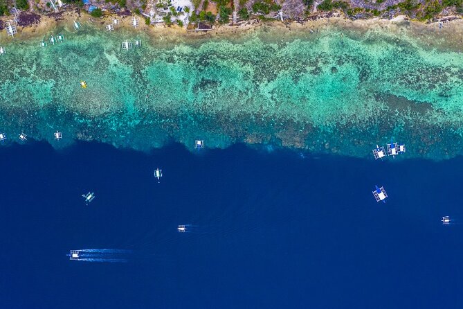 Moalboal Sardines Run Private Tour w/ Transfers Option - Who will enjoy this most?