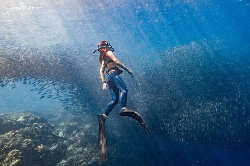 Moalboal: Scuba Diving and Pescador Island Hopping - Two sessions, with time to reset between them