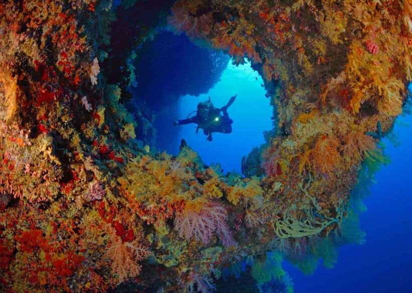 Moalboal: Scuba Diving and Pescador Island Hopping - What the instructors add for beginners