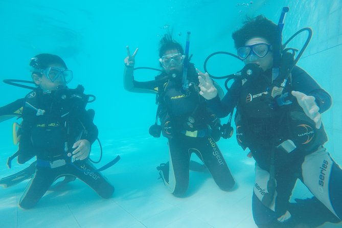 Open Water Course (PADI) - Michel and Freddie’s teaching style