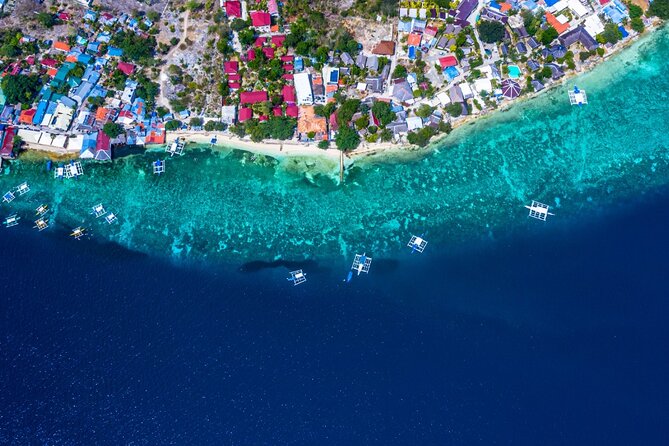 Oslob Whale Shark Private Tour with Sumilon & Tumalog Falls - Who will get the most from this tour