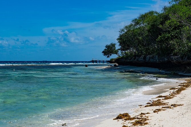 Oslob Whale Shark Private Tour with Sumilon & Tumalog Falls - Sumilon Island gives the day a change of pace