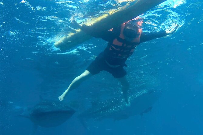 Oslob Whale Shark Snorkeling & Kawasan Canyoning Tour - Two Cebu highlights packed into one very long day