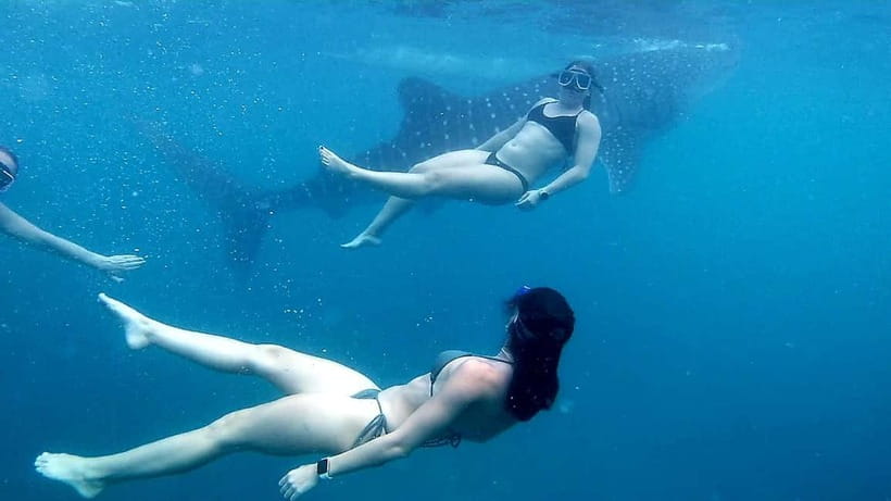 Oslob Whale Shark Swimming & Kawasan Falls Canyoneering - What the $106 price really covers